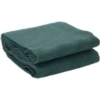 vidaXL Tapis de tente vert 4x2 m