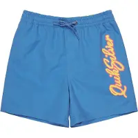 Quiksilver Everyday Malibu Volley 14´´ Swimming Shorts Bleu 16 Years Garçon