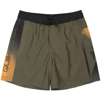 Quiksilver Everyday Holmes Volley 16´´ Swimming Shorts Vert 16 Years Garçon