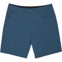 Quiksilver Short Nelson Amphibian 18´´
