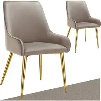 TecTake Chaise de salle à manger Avane - Aspect velours - Chaise ergonomique rembourrée avec pieds en acier doré - Capacité 120 kg - Chaise de salle à manger et de cuisine moderne - Lot de 2 - Taupe