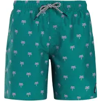 Protest Calvin Swimming Shorts Bleu 116 cm Garçon