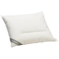 Yumeko - Oreiller - Duvet D'oie - 70x90 - Blanc