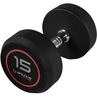 Olive Rubber Pro-style 15kg Dumbbell Argenté 15 kg