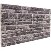 vidaXL Panneaux muraux 10 pcs Anthracite 100 x 50 cm Mousse EPS