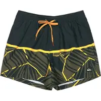 Quiksilver Everyday Poolsider 15´´ Swimming Shorts Noir M Homme