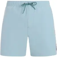 Protest Jayden Swimming Shorts Bleu L Homme