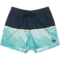 Quiksilver Everyday Poolsider 15´´ Swimming Shorts Bleu M Homme