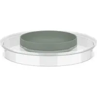 Mepal Deckel für Schüssel Chef It transparent, nordic sage, 1 St., Ustensile de cuisine : accessoires, Vert, Transparent