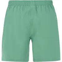 Protest Shorts de bain 'PRTBaky' vert chiné