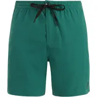 Protest Filby Swimming Shorts Vert XS Homme