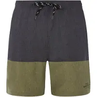 Protest Freddie Swimming Shorts Gris XL Homme