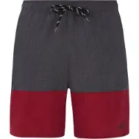 Protest Freddie Swimming Shorts Gris XL Homme
