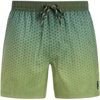 Protest Northaw Swimming Shorts Vert L Homme