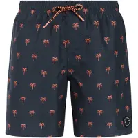 Protest Calvin Swimming Shorts Bleu 104 cm Garçon