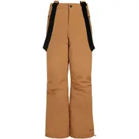 Protest Pantalon de sport 'SPIKET JR' marron châtaigne