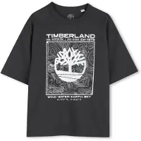 Timberland T60794 Short Sleeve T-shirt Gris 16 Years Garçon