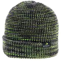 Boreal Reversible Beanie Vert