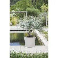 Poetic Pot Conique Element 100 L Ø57,5 Cm Finition Calcaire