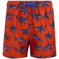 Regatta Short De Bain Skander