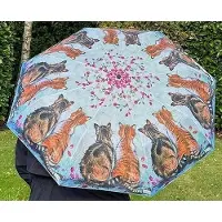 Alex Clark Parapluie avec chats et fleurs, Multicolore