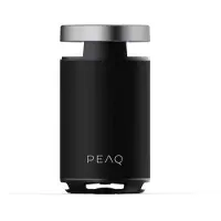 PEAQ Pps 170 Partyspeaker