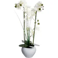 Atmosphera Vase céramique blanc pour orchidée - 53cm