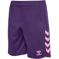 Hummel Pantalon de sport 'Core 2.0' violet foncé / rose