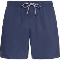 Protest Davey Swimming Shorts Bleu L Homme