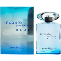 Salvatore Ferragamo Incanto Blue Pour Homme EDT 100 ml M