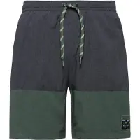 Protest Cabus Swimming Shorts Gris L Homme