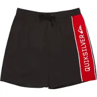 Quiksilver Everyday Clicker Volley 17´´ Swimming Shorts Noir L Homme