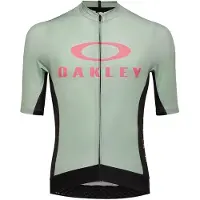 Oakley Apparel Icon Training Short Sleeve Jersey Vert XL Homme