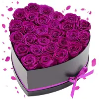 Vevor Rose Éternelle 27 Fleurs Éternelles Préservées Boîte Forme de Cœur
