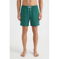 O'Neill Short de bain Vert 16" Hommes