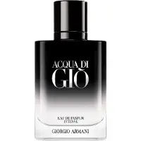 Giorgio Armani Acqua di Giò Intense Eau de Parfum pour homme 50 ml