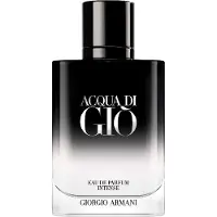 Giorgio Armani Acqua di Giò Intense Eau de Parfum pour homme 100 ml