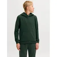 Jack & Jones Sweatshirt Bradley Sweat Crew Enfants