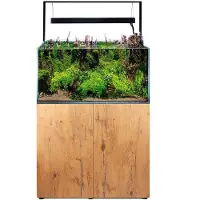 Aquael Aquarium UltraScape 60 avec éclairage LED, env. 64 l, verre OPTI, verre blanc, sans meuble de rangement, couleur forêt