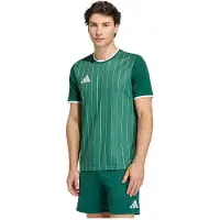 Adidas Entrada 26 Graphic Short Sleeve T-shirt Vert XL / Regular Homme