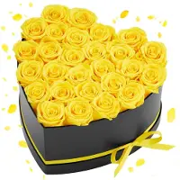 Vevor Rose Éternelle 27 Fleurs Éternelles Préservées Boîte Forme de Cœur