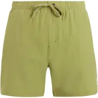 Protest Igapo Swimming Shorts Vert S Homme