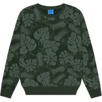 Ocean pacific Sweat-shirt 'Wonthaggi' jade / vert pastel