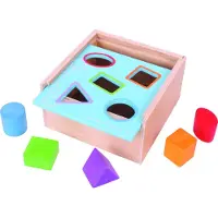 Bigjigs Ma première boîte de tri