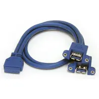 StarTech.com Câble 2xusb 2.0 Femelle Vers Carte Mère 50 Cm