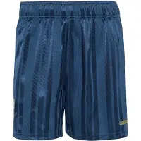 Adidas Pantalon de sport 'Argentinien EQT' bleu marine / bleu foncé