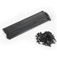 Eclat Pg Spokes And Nipples Kit 40 Units Noir 174 mm