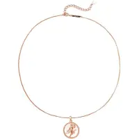 Hey Happiness Chaîne 'Virgo' or rose