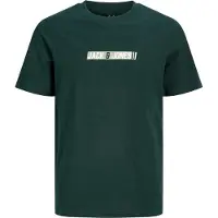 Jack & Jones Junior T-Shirt 'JJMUNK' vert clair / vert foncé / blanc