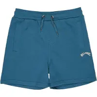 Billabong Arch Shorts Bleu 14 Years Garçon